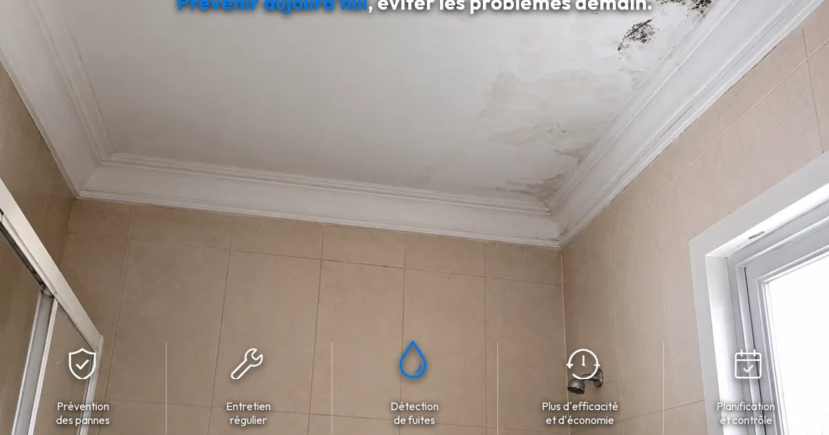 Taches d'humidité et de moisissure au plafond de la salle de bain causées par une fuite d'eau cachée à Funchal, Madère.